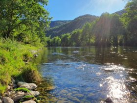 Gorges de l’Allier