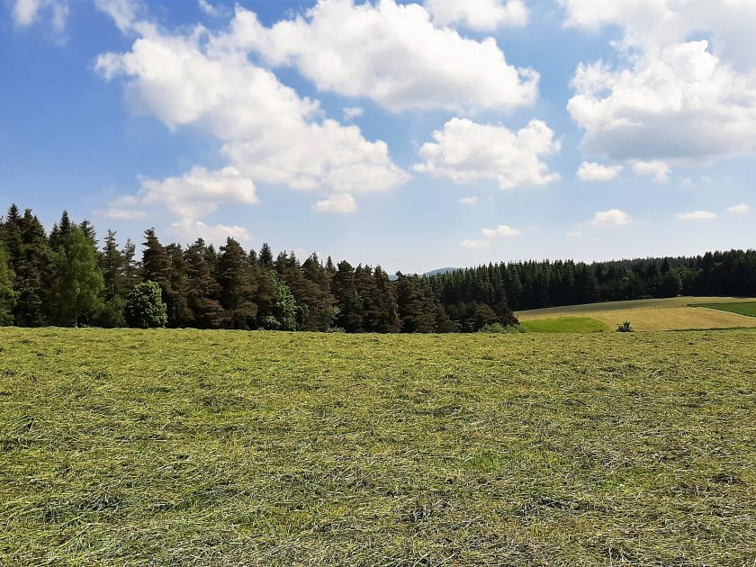 Les Herbes de la Saint-Jean