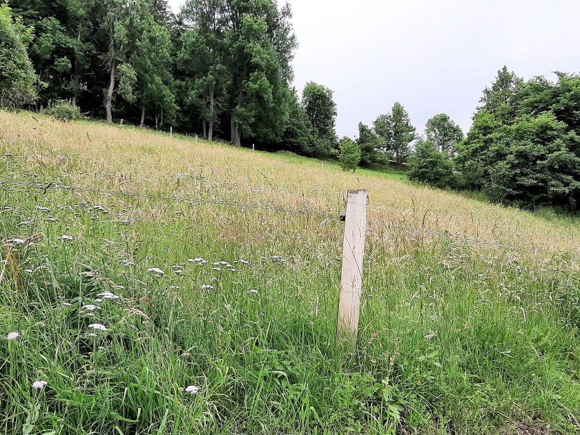 La ferme de Félissou