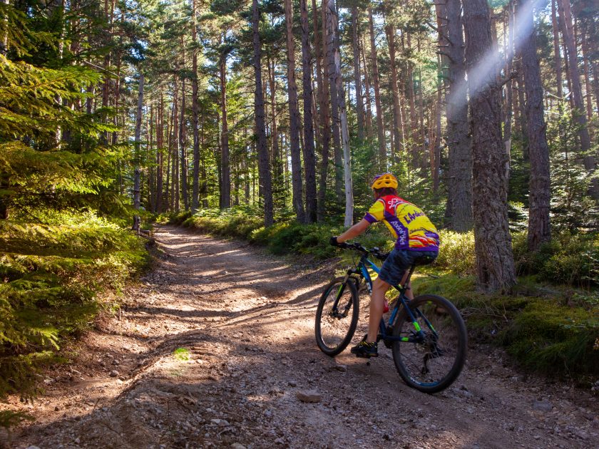 Espace VTT Haut Pays du Velay