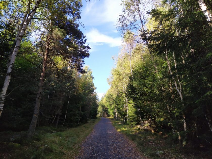 Accès à l’ascension du Lizieux