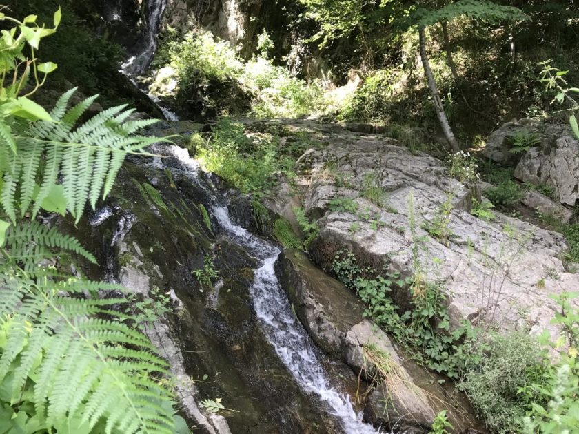 Passerelles du Saut du Chien