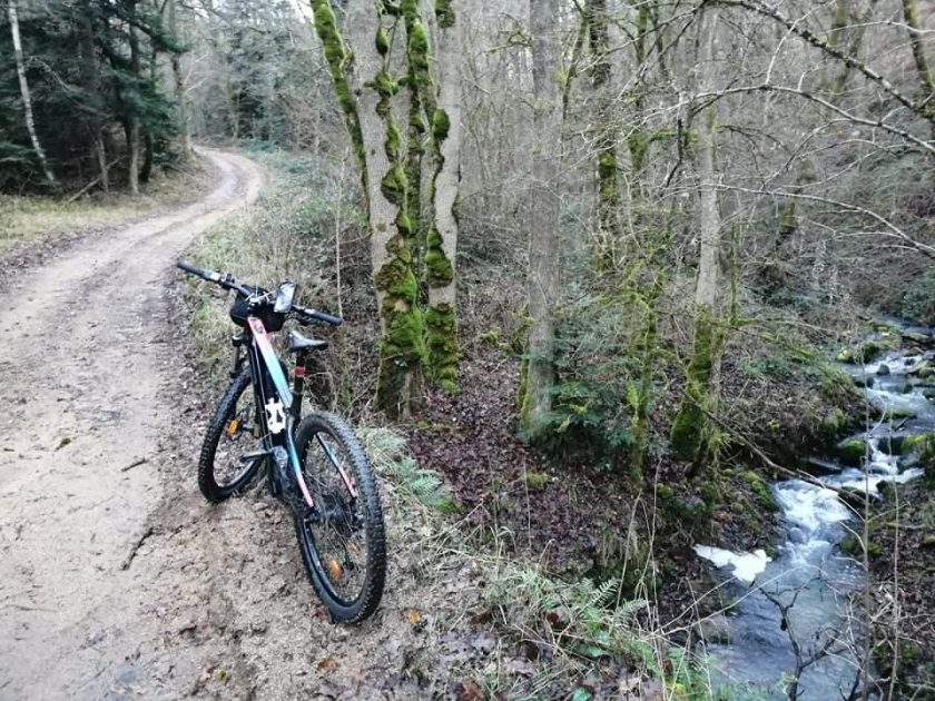 Parcours VTT en forêt