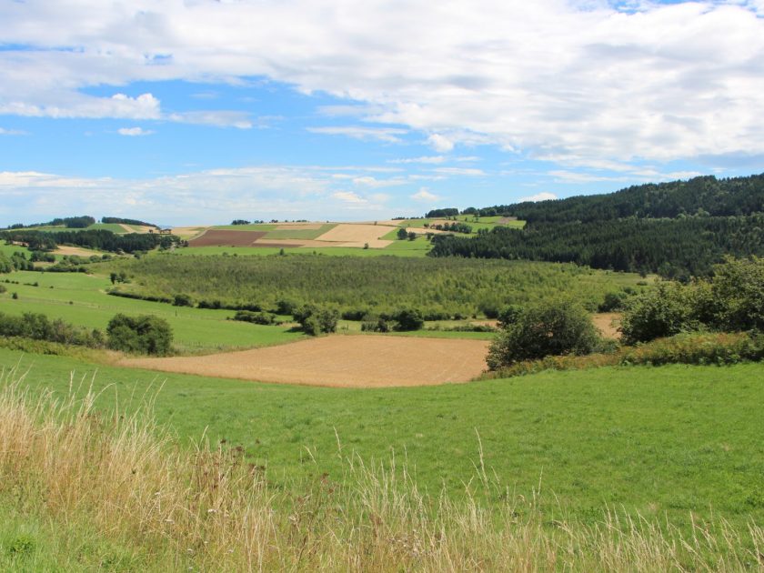 Marais de Limagne