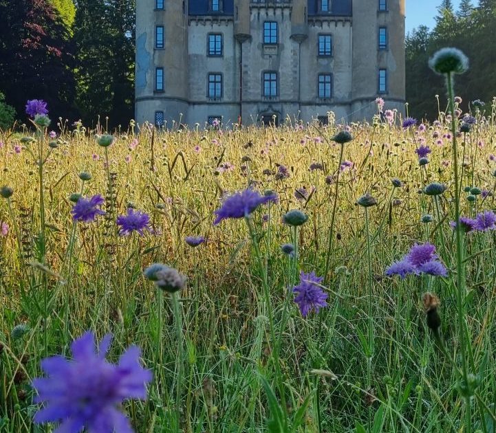 MTV façade fleurs