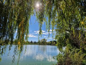 pnu_parc biodiversité_bas en basset