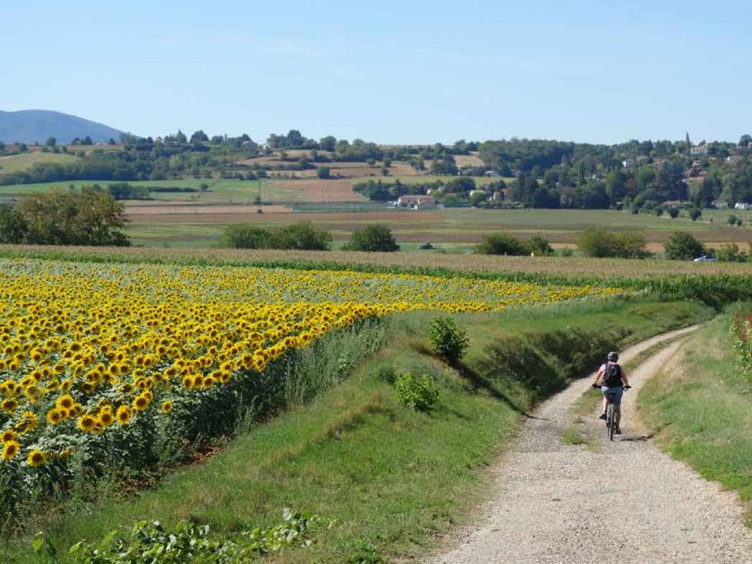 Compostelle a VTT