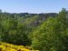 Arrivée à la Passerelle des Gorges du Lignon