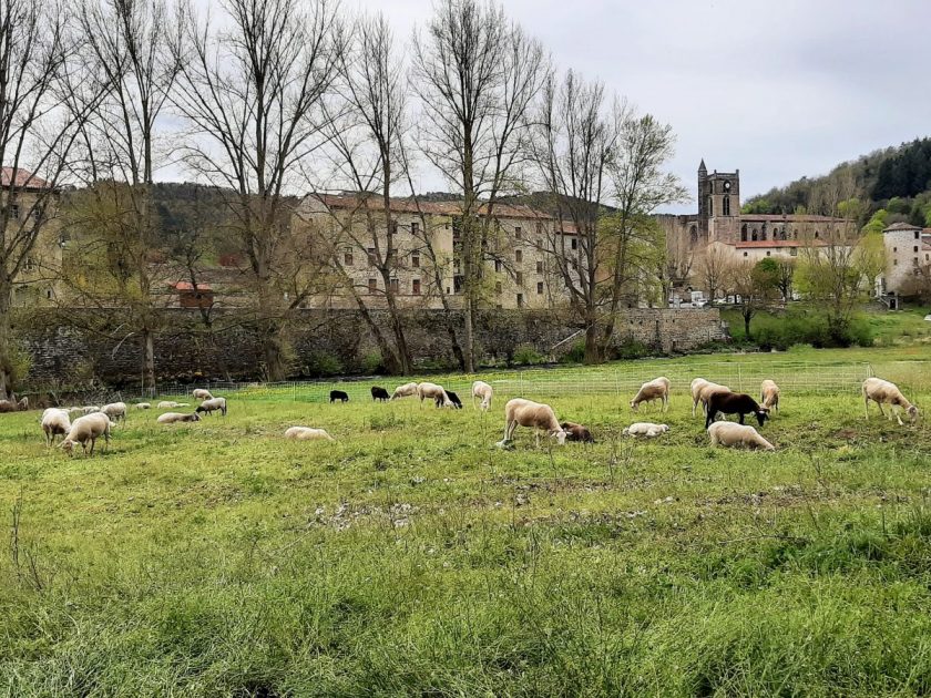 L’Estaou d’à côté