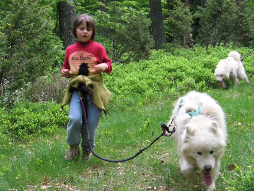 Promenade en cani-rando