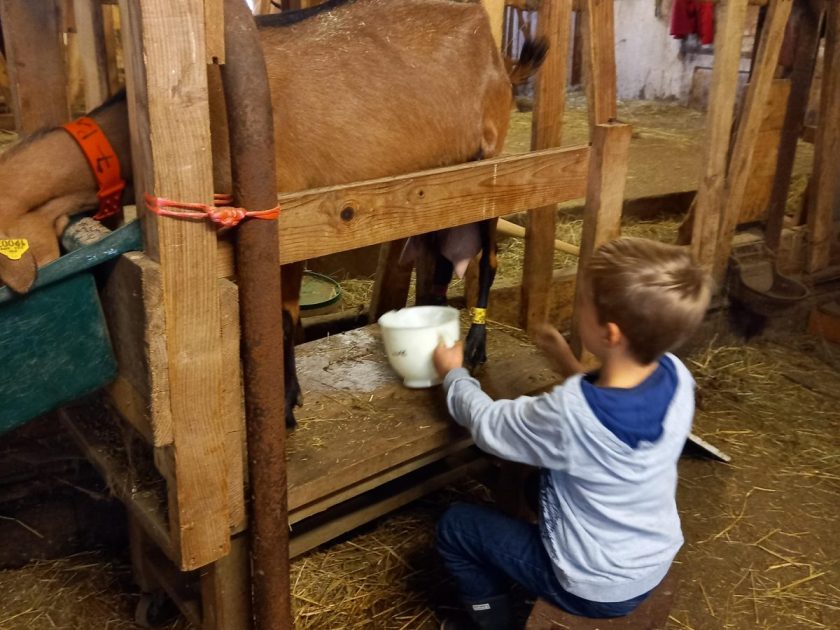 Découverte de la ferme