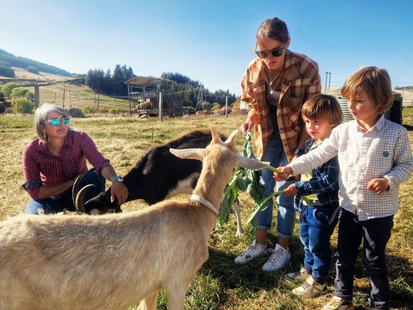 Découverte de la ferme