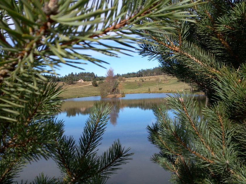 Etangs de Bergougnoux