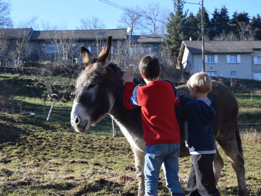 Ane et enfants