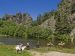 SEJ_Les Sources de a Loire à Cheval_chevaux dans l’eau