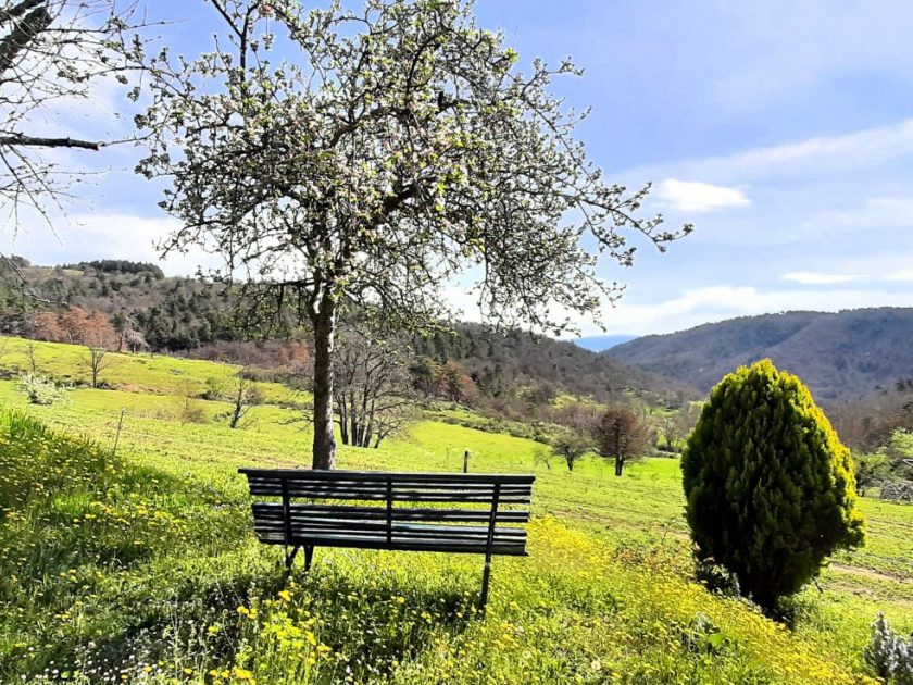 Gîte La Cabane