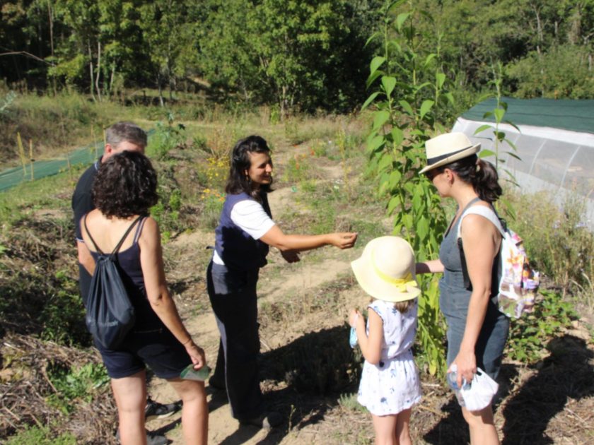 Atelier permaculture