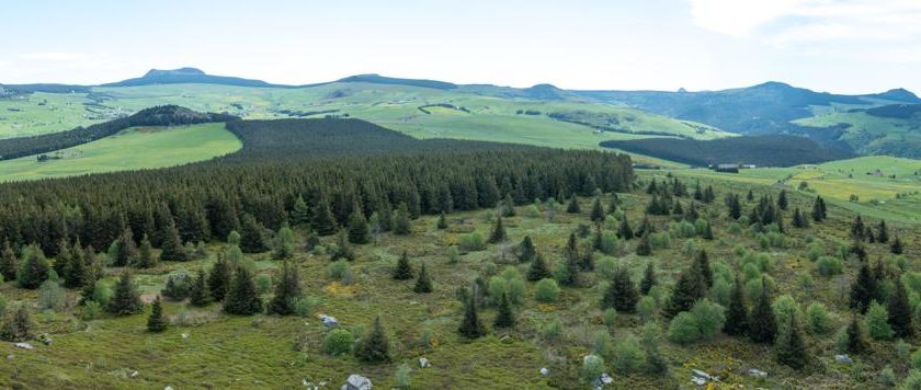 Site d’escalade du Rocher Tourte