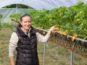 EARL Velay Fruits Rouges Malrevers