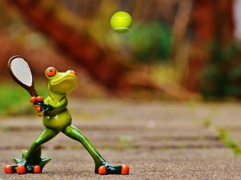 grenouille tennis