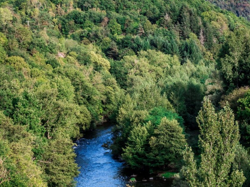 L’Allier entre Saint-Arcons-d’Allier et Prades