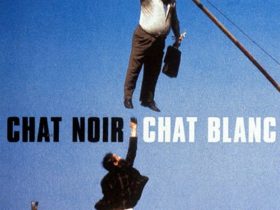 Chat noir, chat blanc