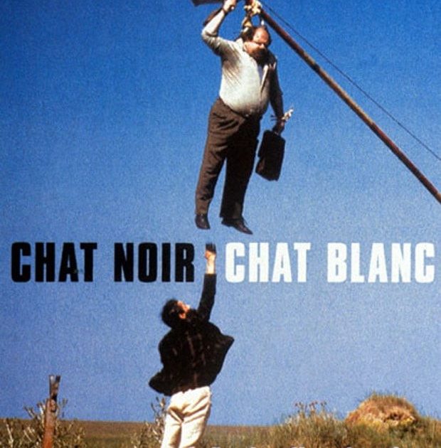 Chat noir, chat blanc