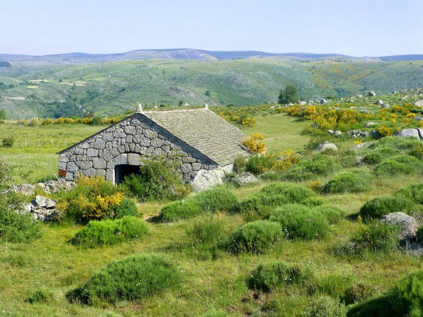 La Pèlerine Stevenson Le Puy St Jean du Gard