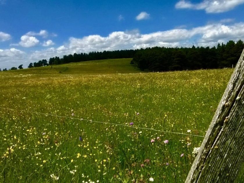 L’autre Chemin GR40 rando