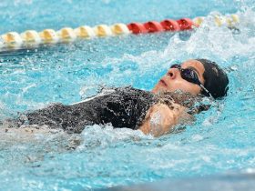 Journée initiation – Para natation adaptée “Adultes”