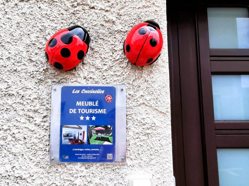 Les Coccinelles