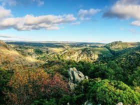 Le Chemin de Stevenson à pied :  Du Puy-en-Velay à Chasseradès