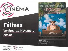 EVE-Le procès du chien-cinéparc-affiche