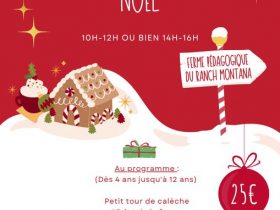 Activités de Noël au ranch Montana_Yssingeaux