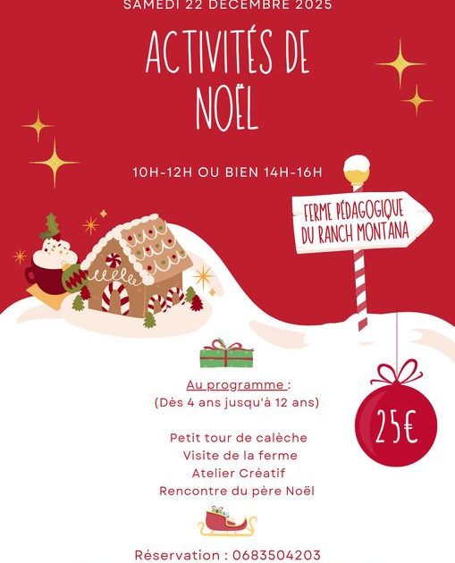 Activités de Noël au ranch Montana_Yssingeaux