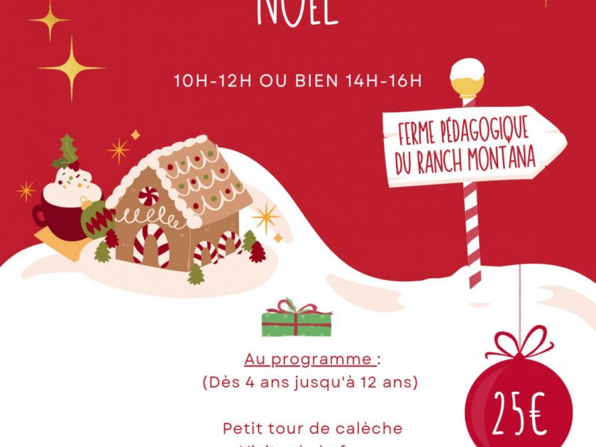 Activités de Noël au ranch Montana_Yssingeaux