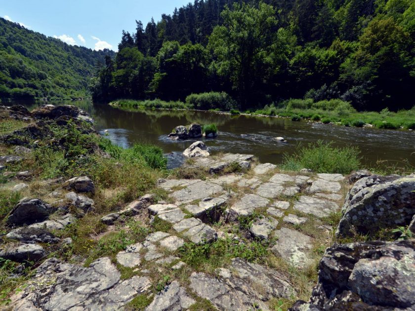 Moniteur guide de pêche et spécialiste des milieux aquatiques_Monistrol-sur-Loire