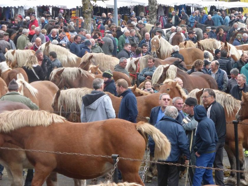 Foire aux chevaux