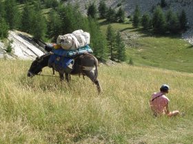 SEJ_du-puy-en-velay-a-saint-jean-du-gard-a-pied_stevenson_le-puy-en-velay