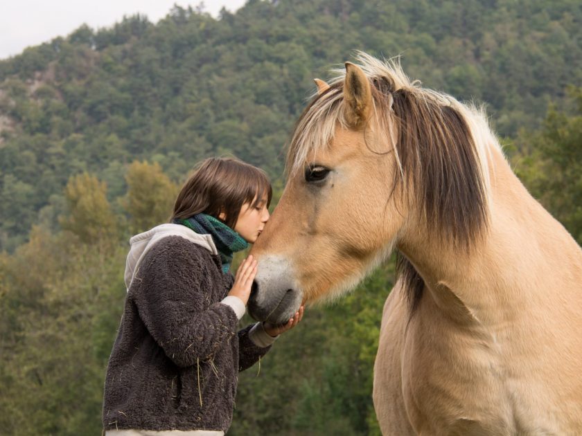 Ferme de découverte les Fromentaux