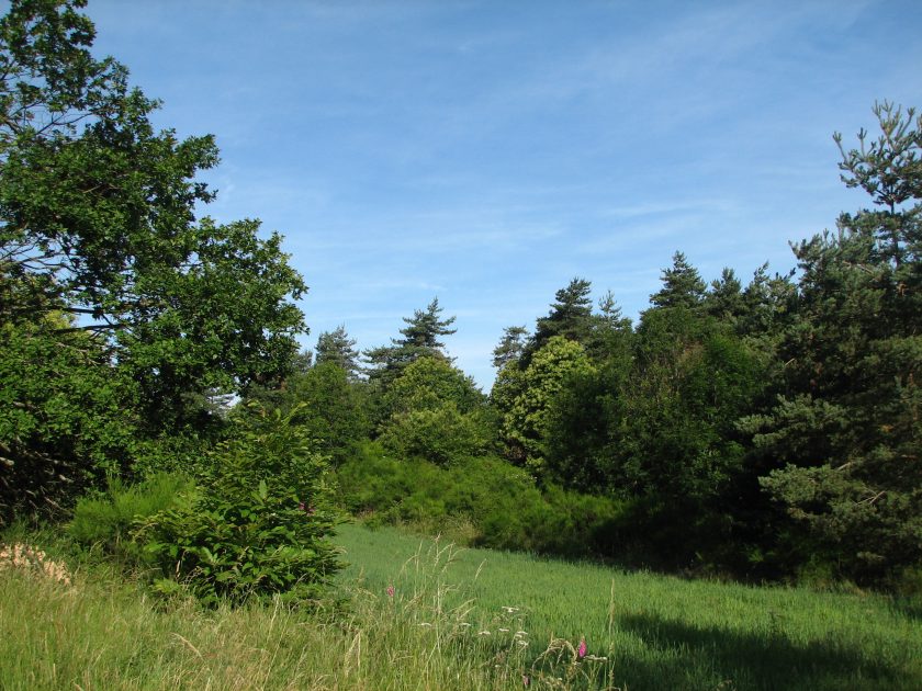 Sentier de Biesse