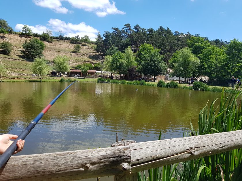 canne a peche pour etang