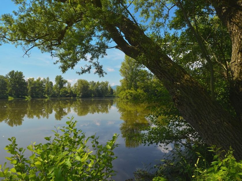 parc biodiversité Bas en Basset/Jc Parayre-CCMVR