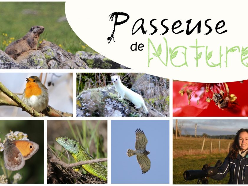 Passeuse de Nature