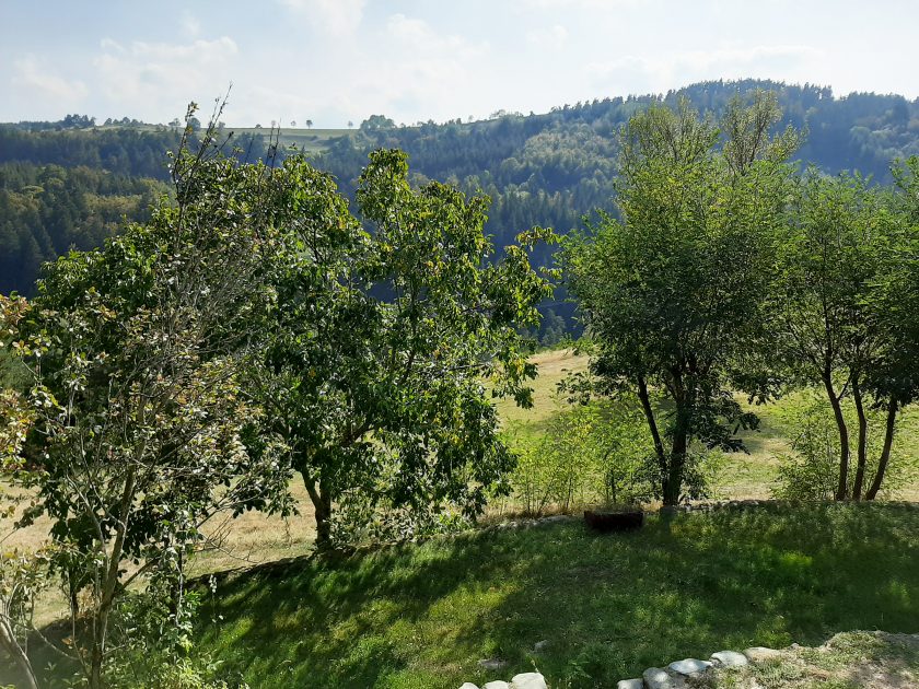 Gîte du Montillet