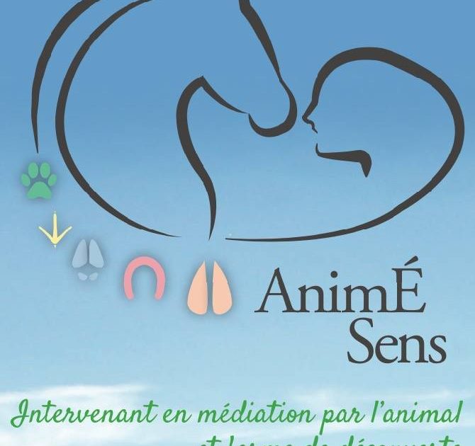 cos_animé sens_boisset