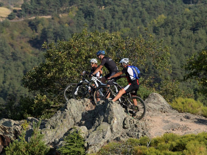 Les forêts de Caloire