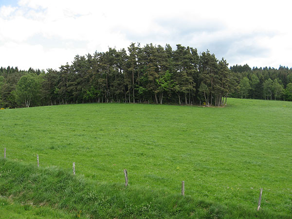 HLO_Meublé de M. René RABASTE_Paysage village