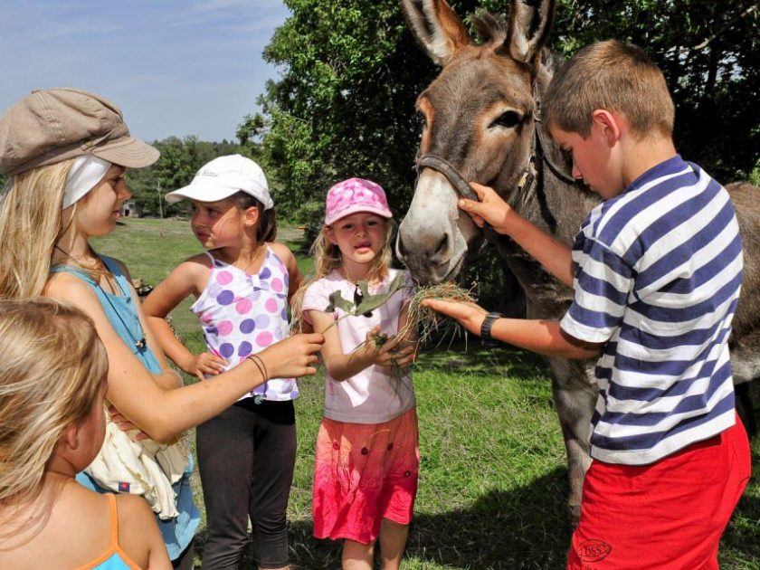 centre equestre